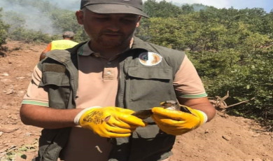 Orman yangınından etkilenen hayvanlara ilk müdahale çok önemli