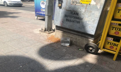 Sokak Hayvanları Susuz Yemsiz Bırakılmıyor