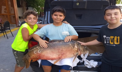 Tekirdağ’da amatör balıkçı 38 kiloluk sazan yakaladı
