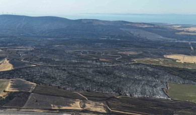 Tekirdağ’da başlayarak Çanakkale’ye ulaşan orman yangınında yanan yerler dron ile görüntülendi