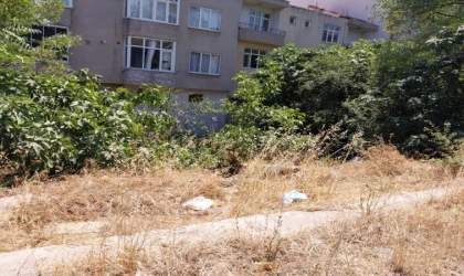 Zamanında Biçilmeyen Otluk Alanlar Bir Bir Yanıyor