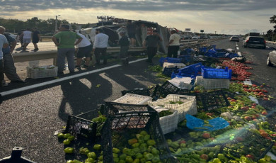 Kamyon bariyerlere saplandı: Sürücü öldü, kasadaki sebzeler yola saçıldı