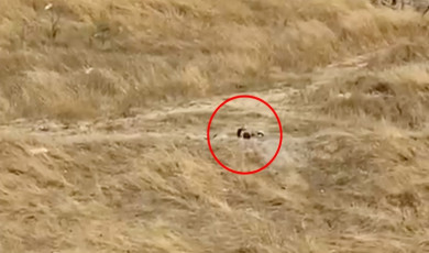 Kapaklı’da güpegündüz boş alanda uygunsuz görüntülere tepki