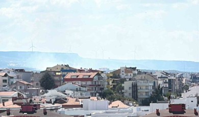 Çanakkale’de orman yangını: 2 okul tahliye edildi