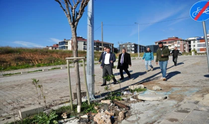 Başkan Sarıkurt, Saha İncelemesi Yaptı