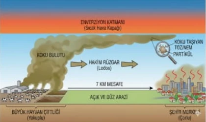 Angus Kokusuna Karşı; ÇORLU ÇED TOPLANTISINA ODAKLANDI