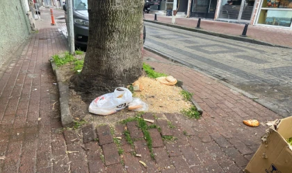 Bu Görüntüler Tepki Çekiyor