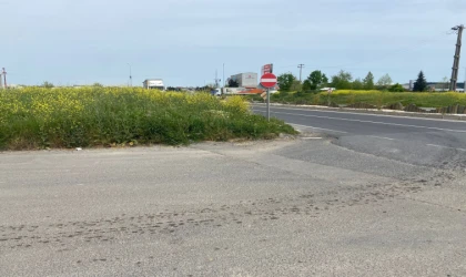 Görüş Alanını Kapatan Otların Acilen Biçilmesi Gerekiyor