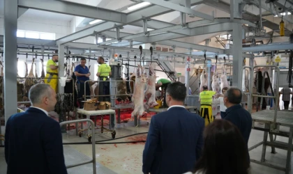 Başkan Sarıkurt’tan Kurban Pazarı ve Mezbaha Ziyareti