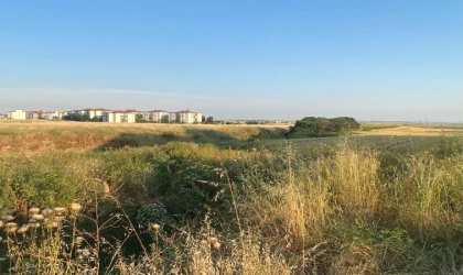 Bu Derenin Islahı Artık Zorunlu!