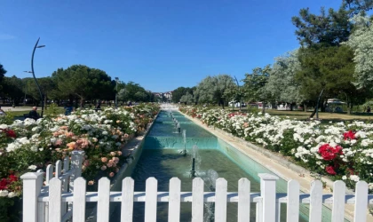Cumhuriyet Parkı Rengârenk