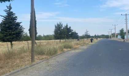 TEMA PARKI’NDA OTLAR BİÇİLDİ