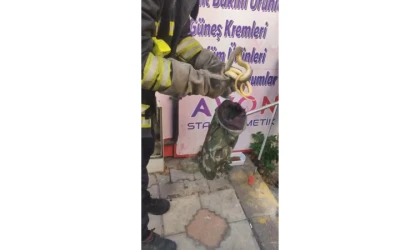 DOĞALGAZ KUTUSUNA GİREN YILANI KEDİ FARK ETTİ